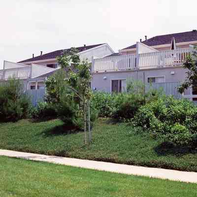 Irvine Ranch 332