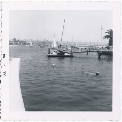 Floating in the Harbor