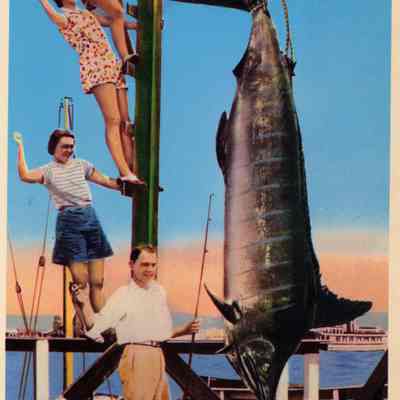 World Record Swordfish caught on Balboa