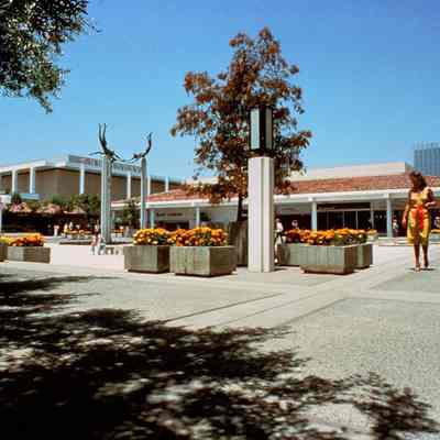 Irvine Ranch 242