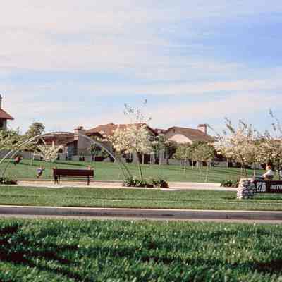 Irvine Ranch 236