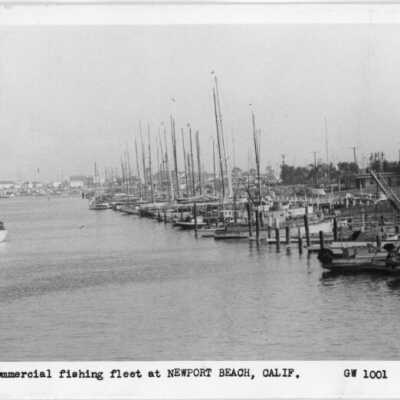 Part of the commercial fishing fleet at Newport Beach, Calif.