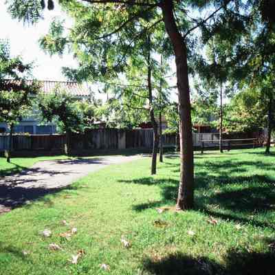 Irvine Ranch 297