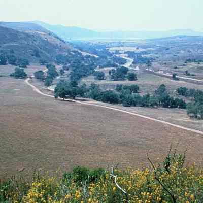 Irvine Ranch 307