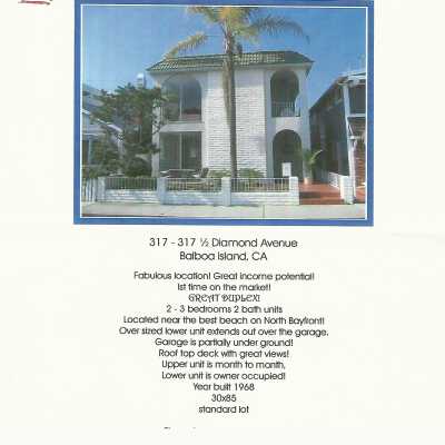 317 Diamond Avenue Real Estate Fliers