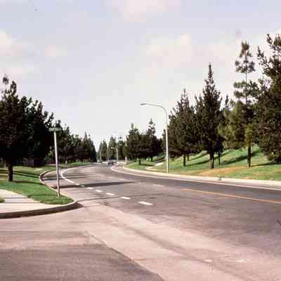 Irvine Ranch 264