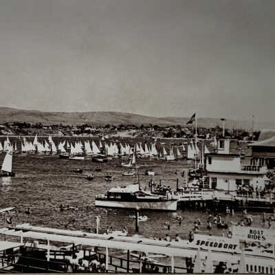 Snow Birds in the Harbor