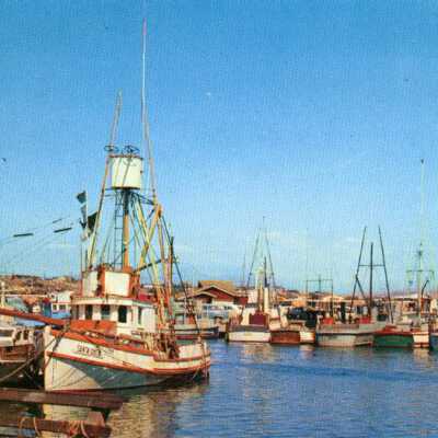 Fishing Fleet, Newport, California