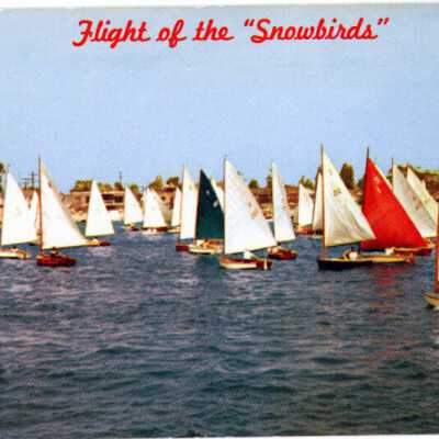 Annual "Flight of the Snowbirds"/ Flight of the "Snowbirds"/ Greetings from Newport Harbor