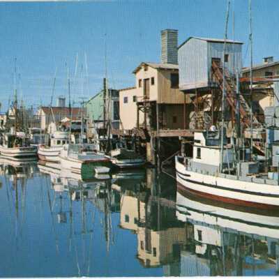 Fishing Fleet - Newport, California