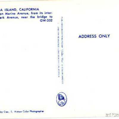 Design 2 Back