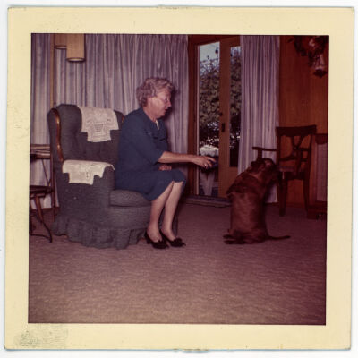 Mrs. McNamera and the Pooch