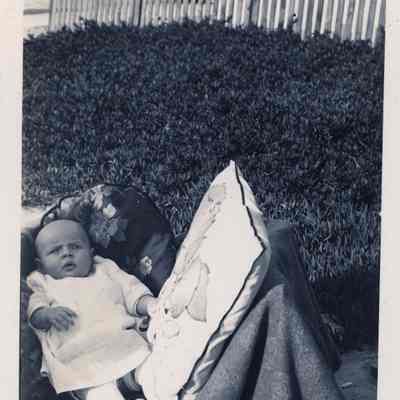 Photo on the Lawn