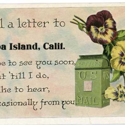 Greetings Post Card