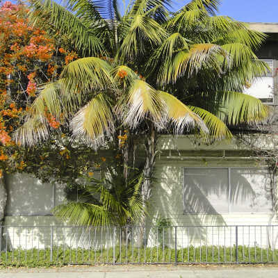 121 Abalone Avenue