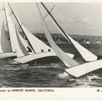 Snow Birds - Postcard