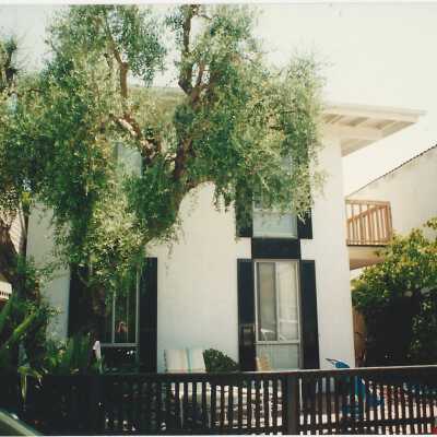 220 Amethyst Avenue