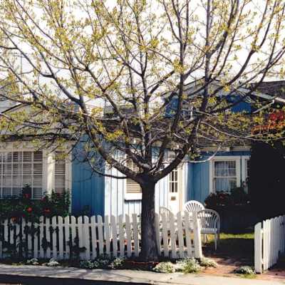 202 Diamond Avenue, 2001