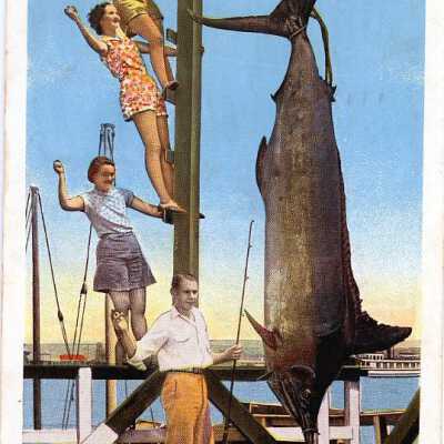 World Record Swordfish Caught at Balboa, California