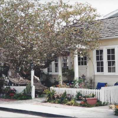 228 Pearl Avenue