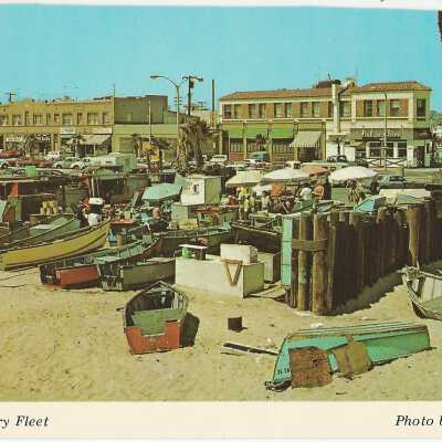 Newport Dory Fleet