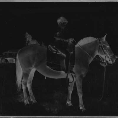 Mike & Fanny The Horse