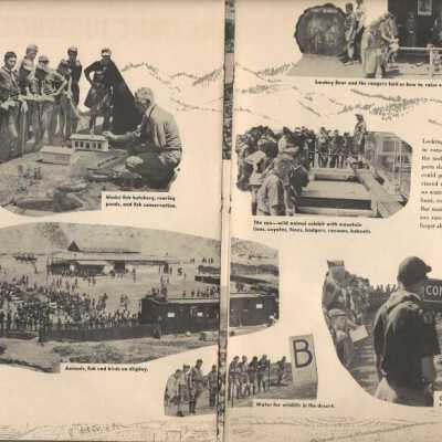Image (19)