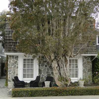 303 Apolena Avenue