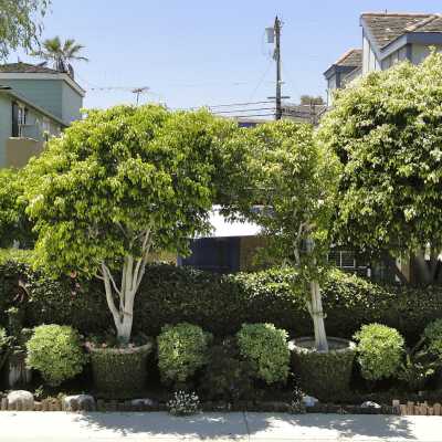 209 Opal Avenue