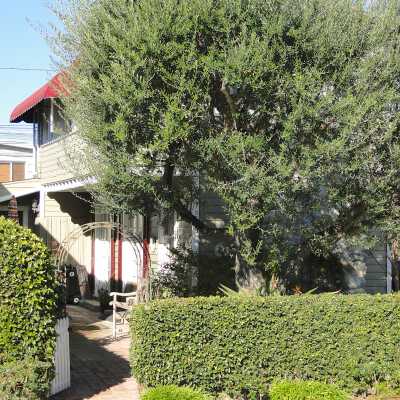 209 Ruby Avenue