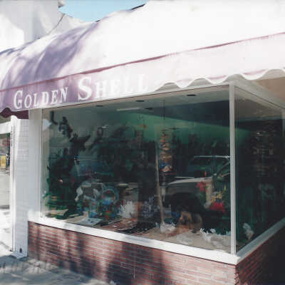 218 Marine - Golden Shell