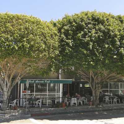 501 Park Avenue - Park Avenue Cafe