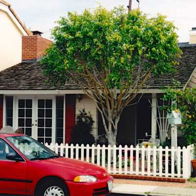 306 Diamond Avenue in 2001
