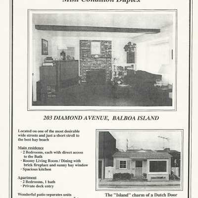 203 Diamond Avenue Real Estate Fliers