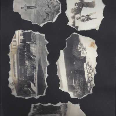41