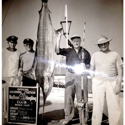 Three Fishermen and Captain with 158lb Marlin