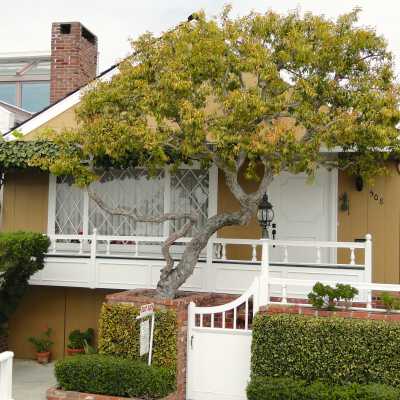 508 South Bay Front
