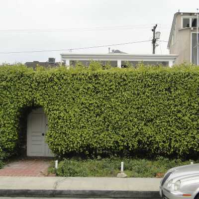 221 Amethyst Avenue