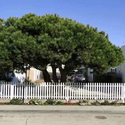 124 Sapphire Avenue