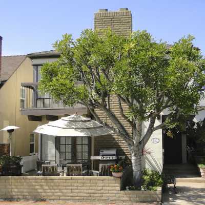 223 Coral Avenue