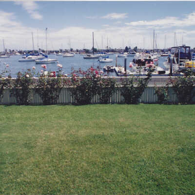 1806 South Bay Front