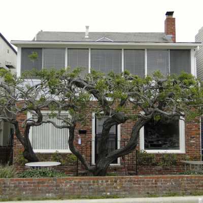 607 North Bay Front