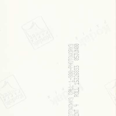 Origformat: Print-Photographic
