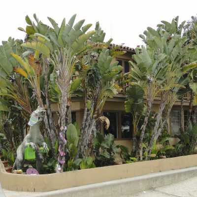 145 North Bay Front