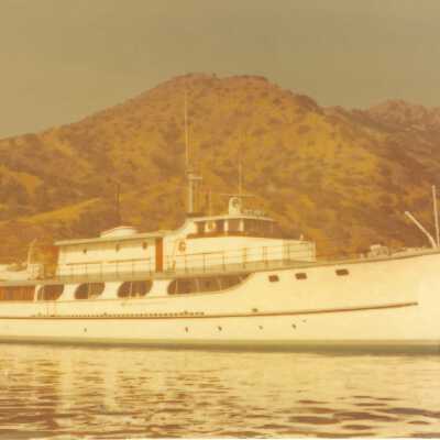 Wild Goose at Catalina