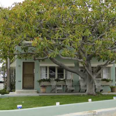 211 North Bay Front