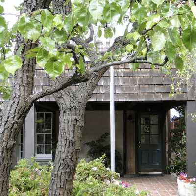 215 Onyx Avenue