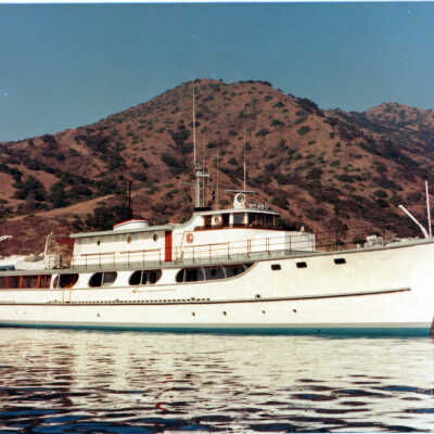 Wild Goose at Catalina 1965