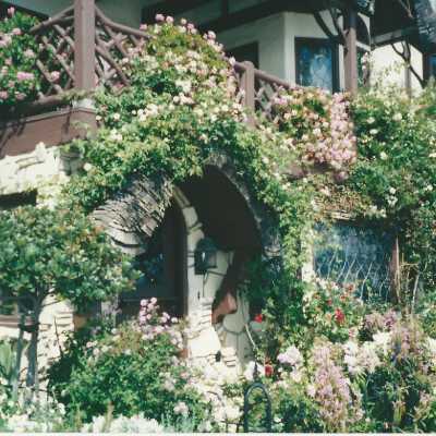 1506 South Bayfront