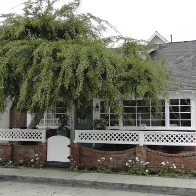 115 Amethyst Avenue